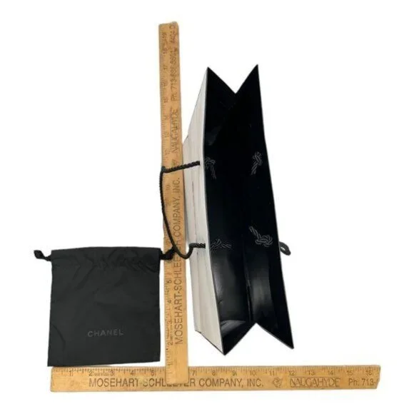 Chanel Gift Bag Set Authentic Pouch Tissue Paper and Gift Bag - Picture 8 of 9